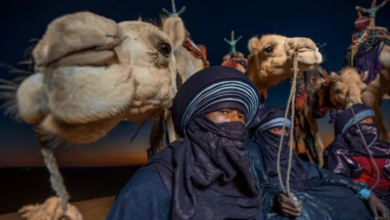 الطوارق موقع بوابة الأخبار24