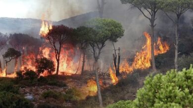 لبنان . حرائق الغابات